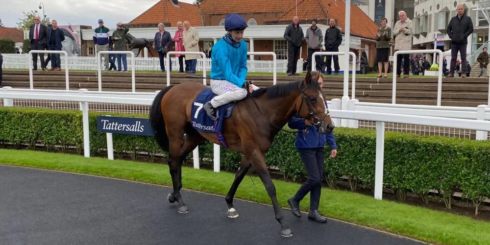 The Waco Kid Steals the Show How He Left Diego Ventura and Monumental in the Dust