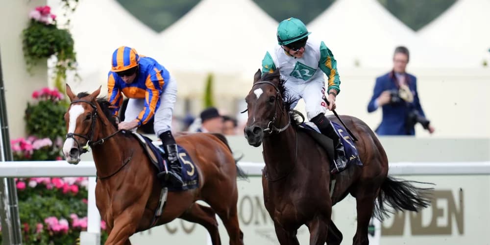 O’Brien keen to see how Opera Singer handles 10 furlongs