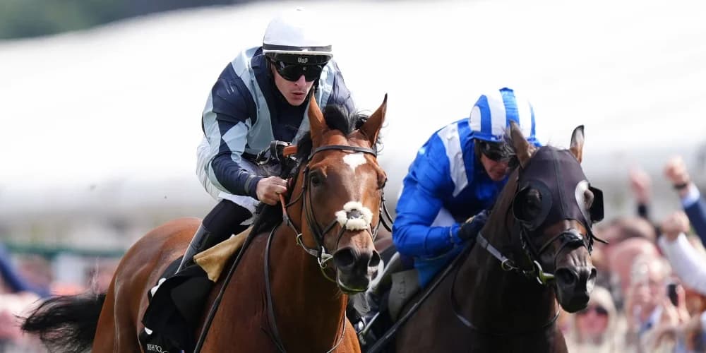 Passenger ‘progressing well’ ahead of possible York run
