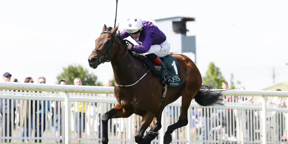 Bucanero Fuerte likely to head for Sprint Cup at Haydock