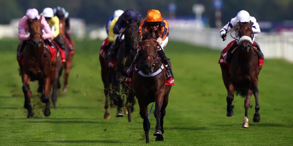 Teal hopes new Goodwood trip can be a hit for Dancing Gemini