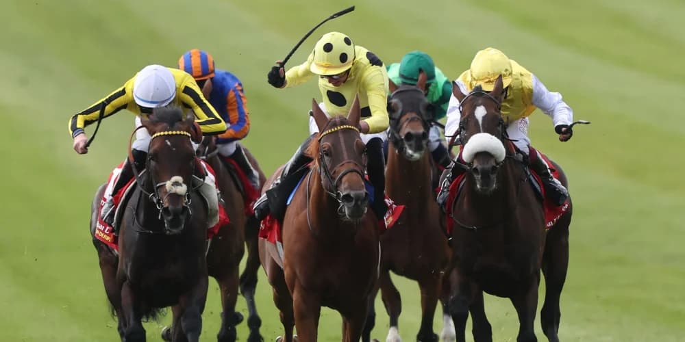 Fanshawe favouring drop in trip for gallant Ambiente Friendly