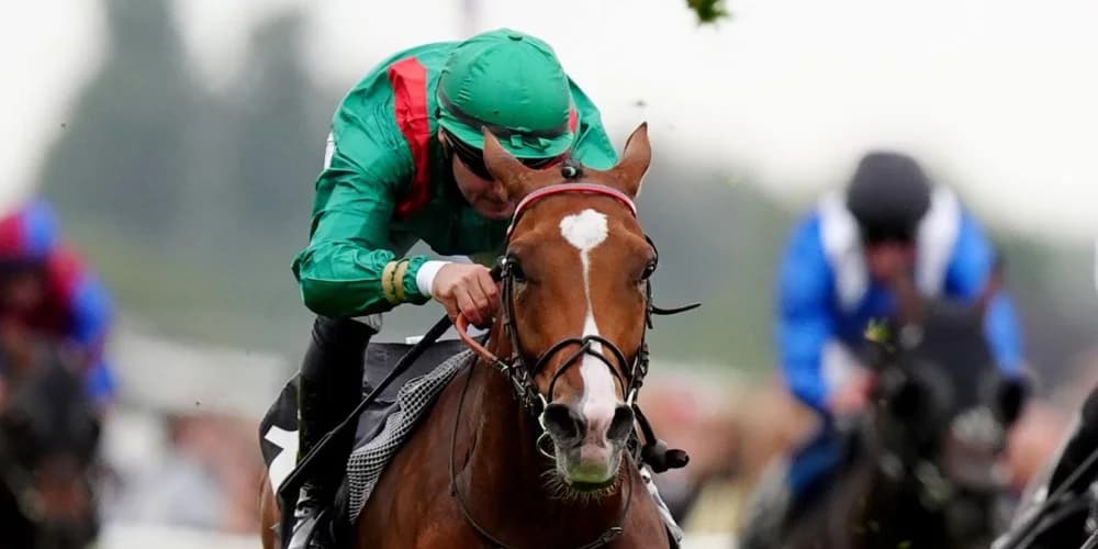 Calandagan delights Graffard in Juddmonte International defeat
