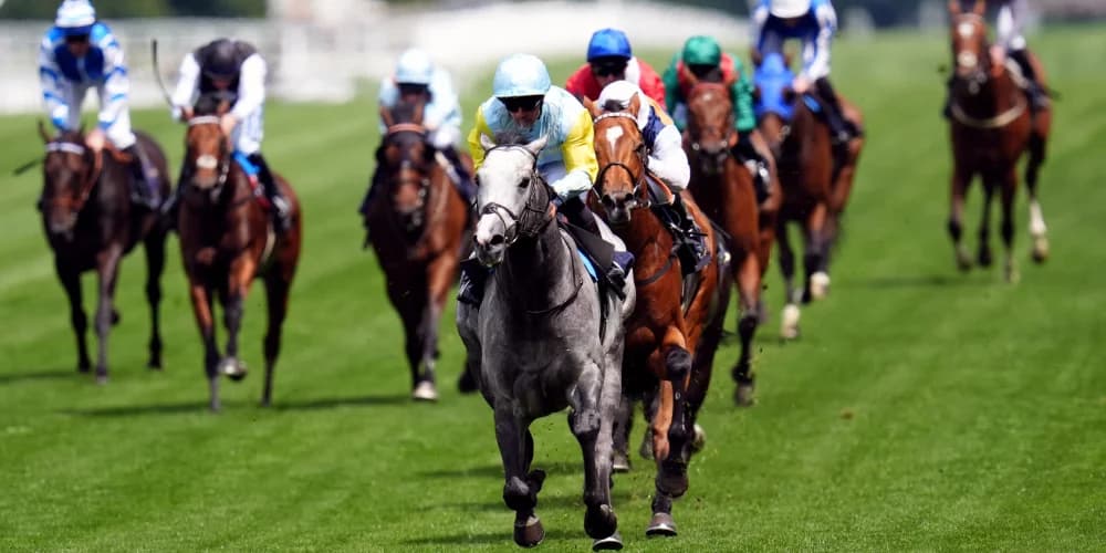 Charyn Set for Epic Showdown with Notable Speech in Prix du Moulin