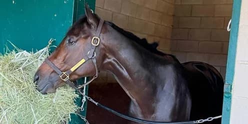 Pletcher Gears Up for Classic Clash with Fierceness
