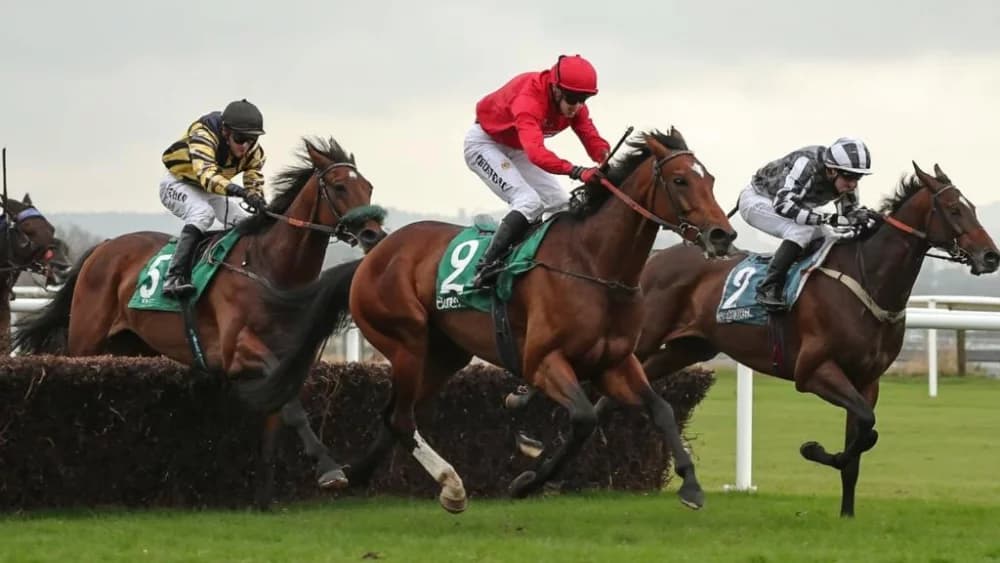 Big Evs Aims for Redemption in Coolmore Nunthorpe Stakes