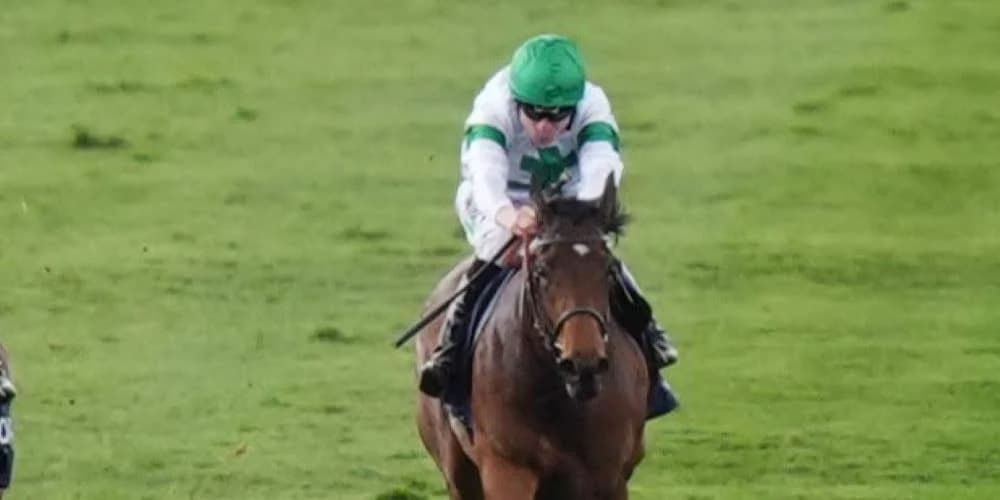 Menuisier not looking too far ahead with Chantilly-bound Tamfana