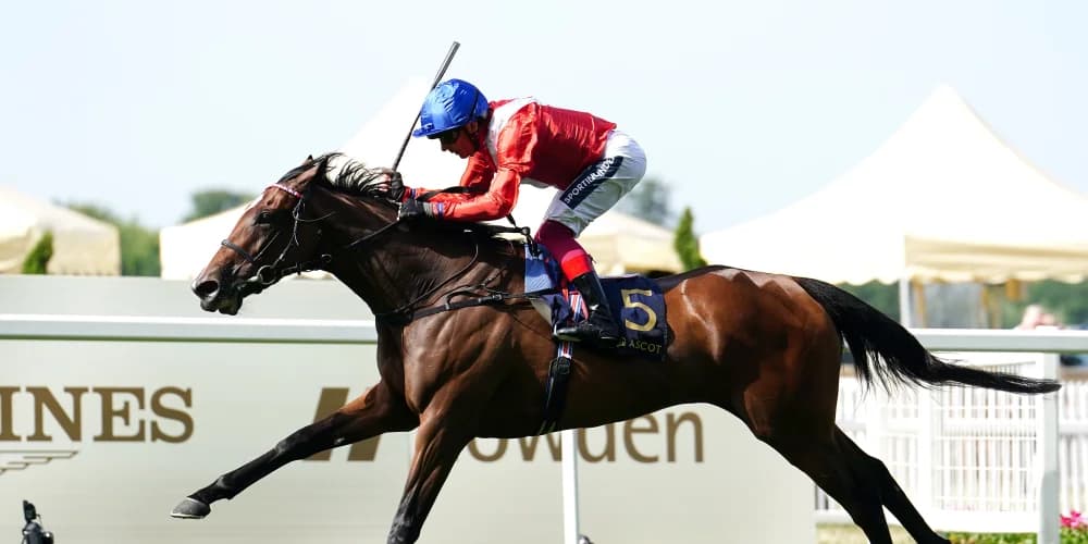 Inspiral ‘ready to step up’ in Prince of Wales’s