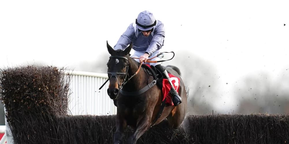 France is getting ready for its seasonal comeback.