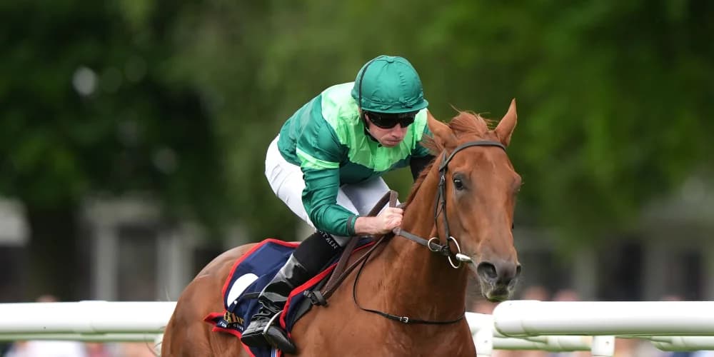 Whistlejacket in search of more Group One honours