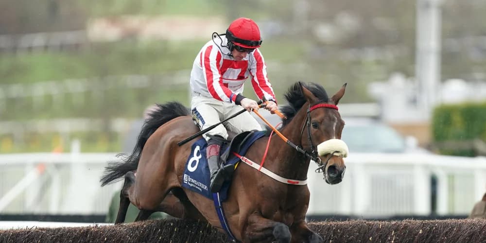 The Real Whacker ready for Kerry National test