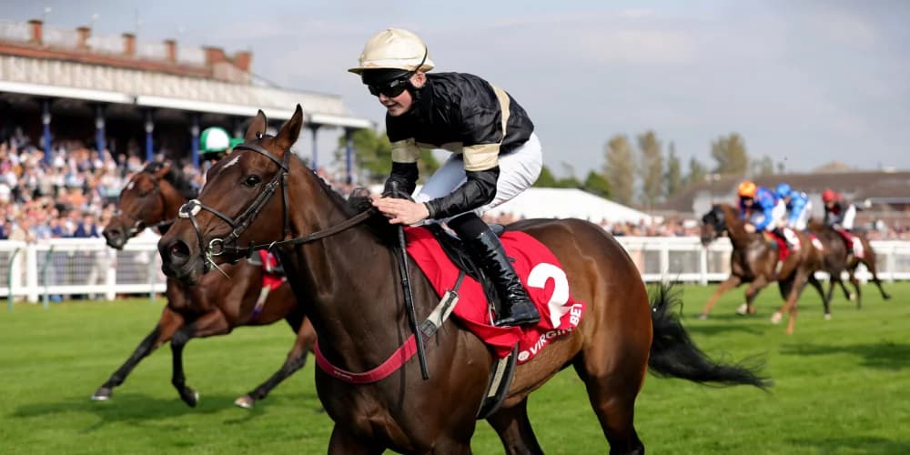 Craig Lidster contemplates next step for Alfa Kellenic