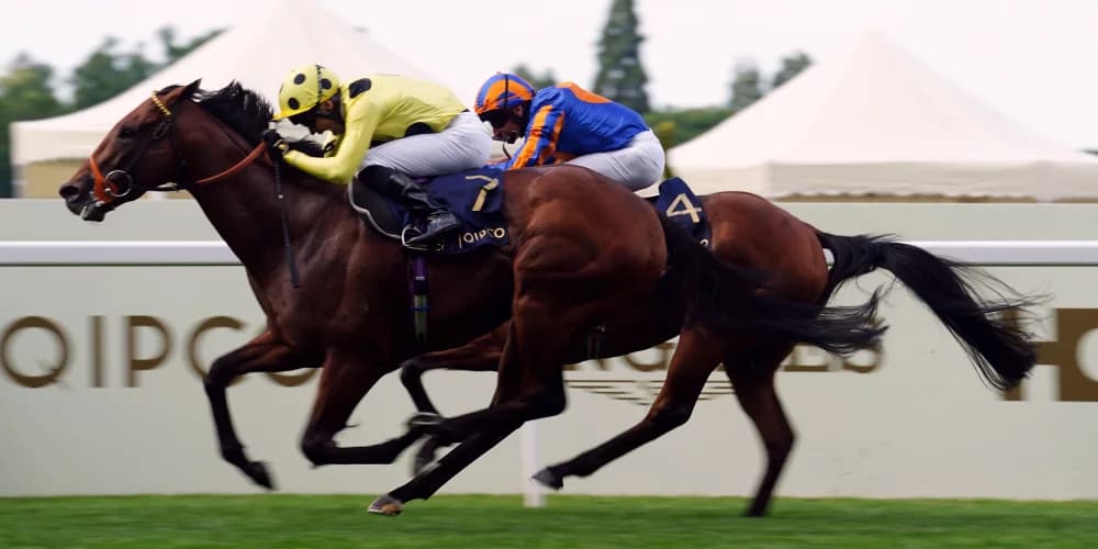 2024 return not ruled out for Rosallion following Goodwood absence