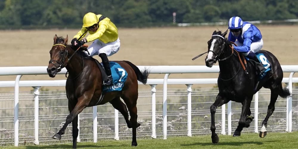 Raqiya camp facing conundrum over suitable next step