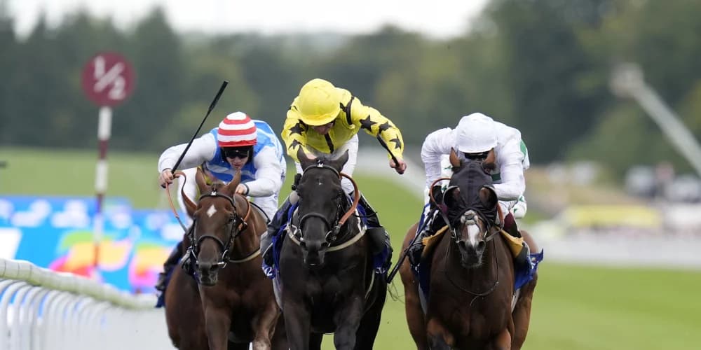 Align The Stars enters Leger picture after game success