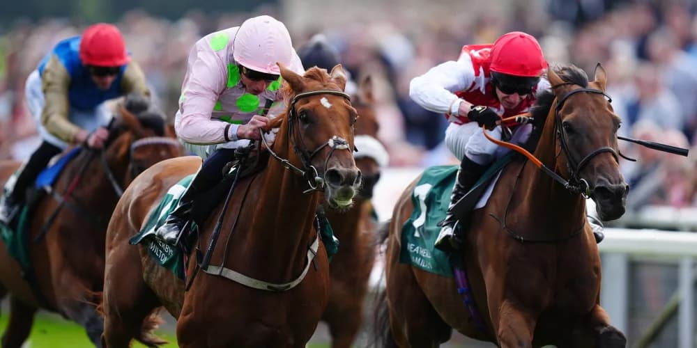 Al Nayyir Ready to Shine in Jockey Club Rose Bowl for Tom Clover