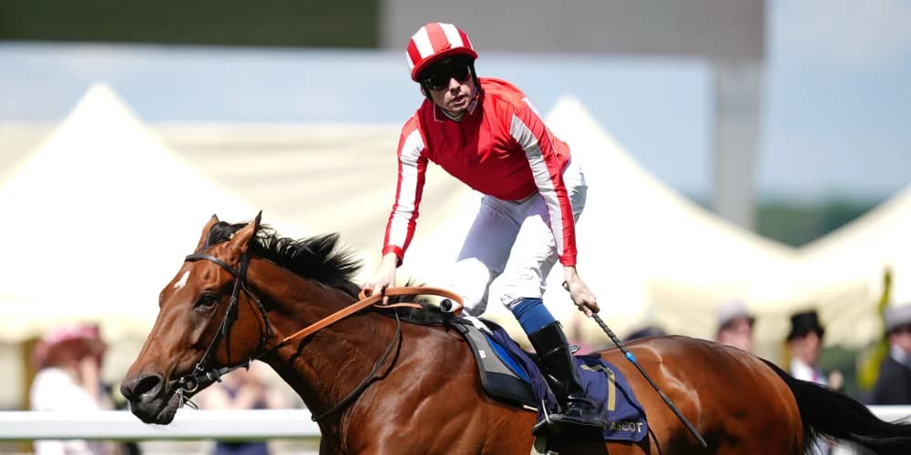 Isle Of Jura way too hot for Hardwicke rivals