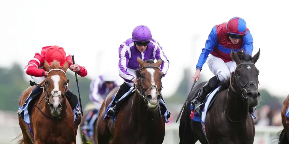 Los Angeles Likely for Irish Champion Stakes with Auguste Rodin