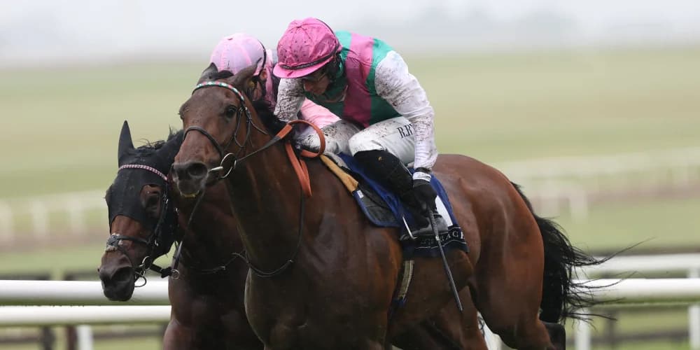 Bluestocking connections keen for ease in the ground ahead of King George bid