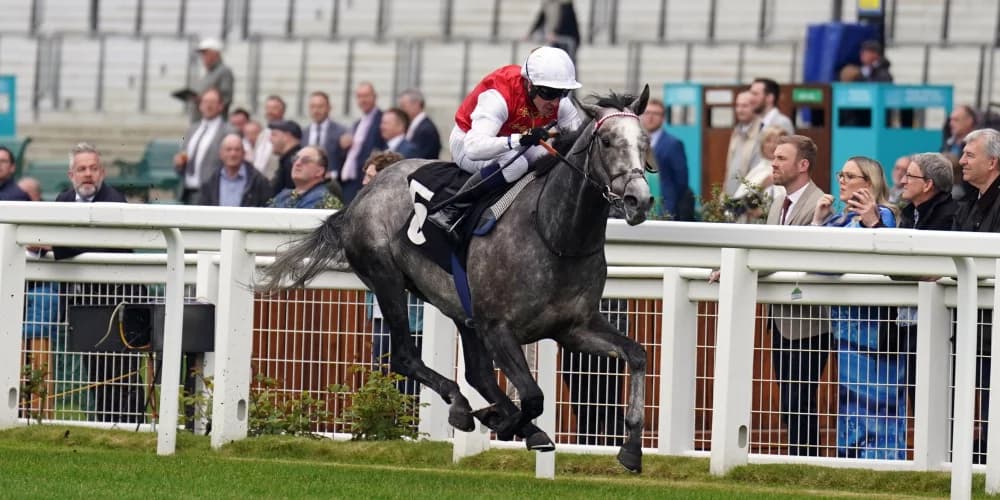 Jasour making good progress after being forced out of Goodwood