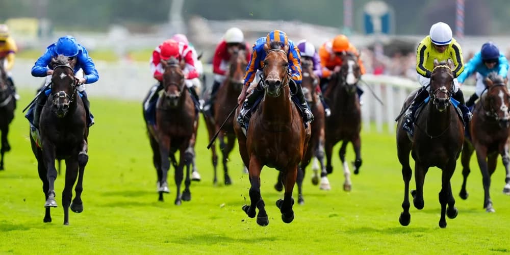 James Owen Eyes Bright Future for Wimbledon Hawkeye After Promising Acomb Stakes Performance