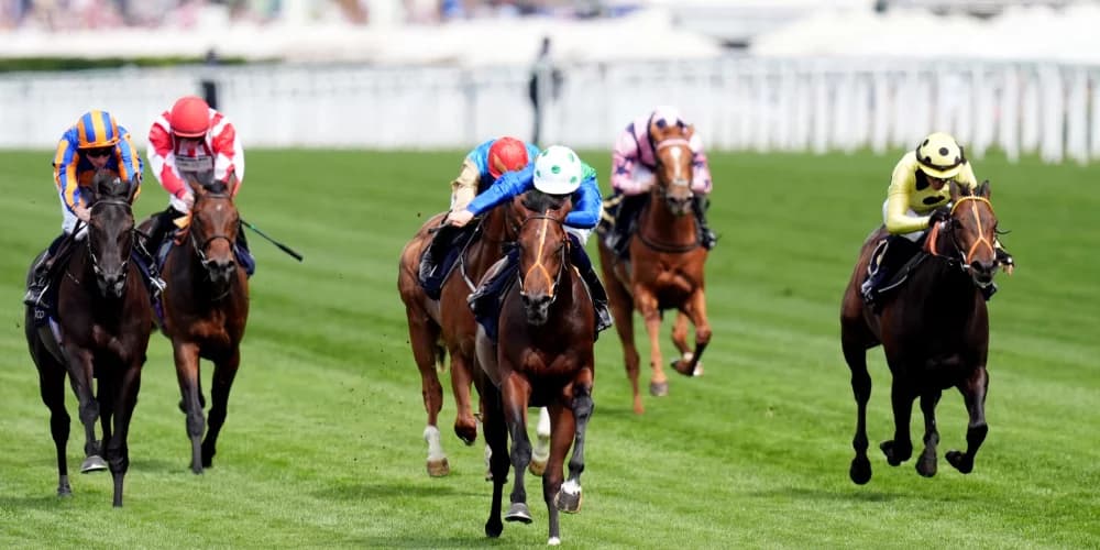 Rashabar camp dreaming big ahead of Prix Morny test