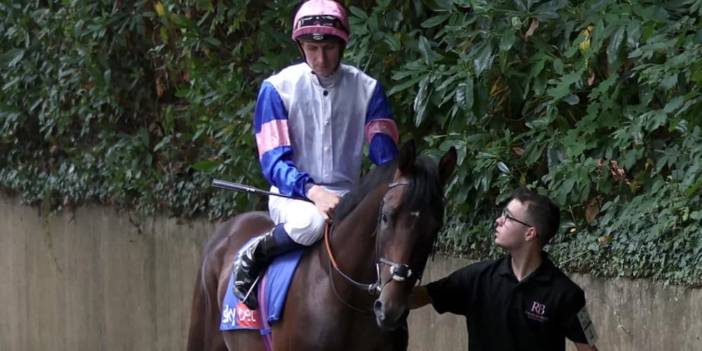 Matauri Bay Eyes Group One Target After Impressive Solario Stakes Run