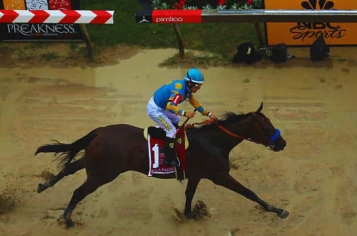 American Pharoah: The Legend of Horse Racing