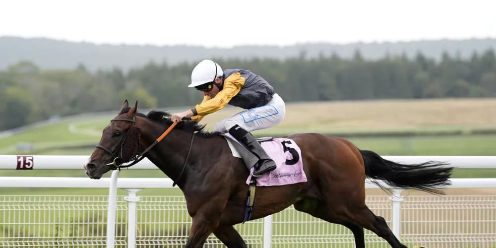 Witness Stand Dominates Dubai Duty Free Cup at Newbury