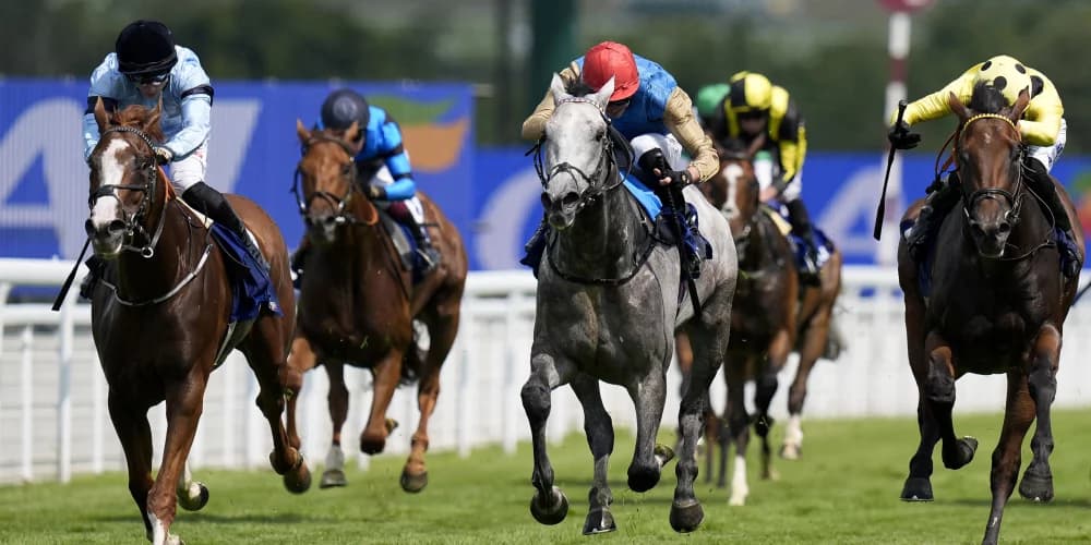 Marquand gets seal of Approval at Goodwood