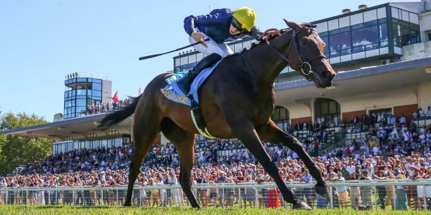 Deauville double to tee-up Mqse De Sevigne Arc swansong