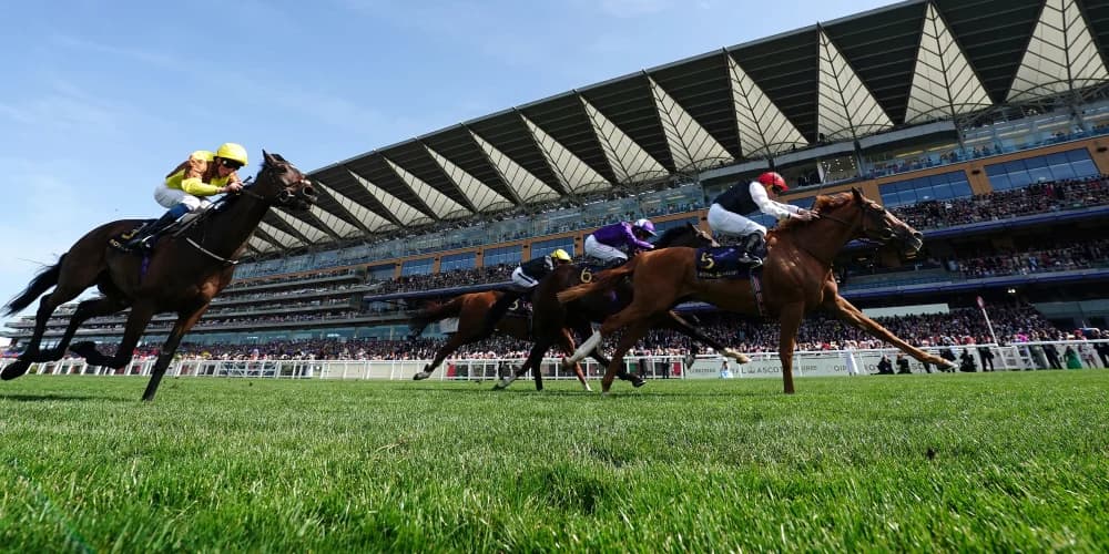 Kyprios sights set on Gold Cup repeat