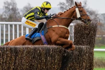 Local Trainers Celebrate Milestones at Kelso Races