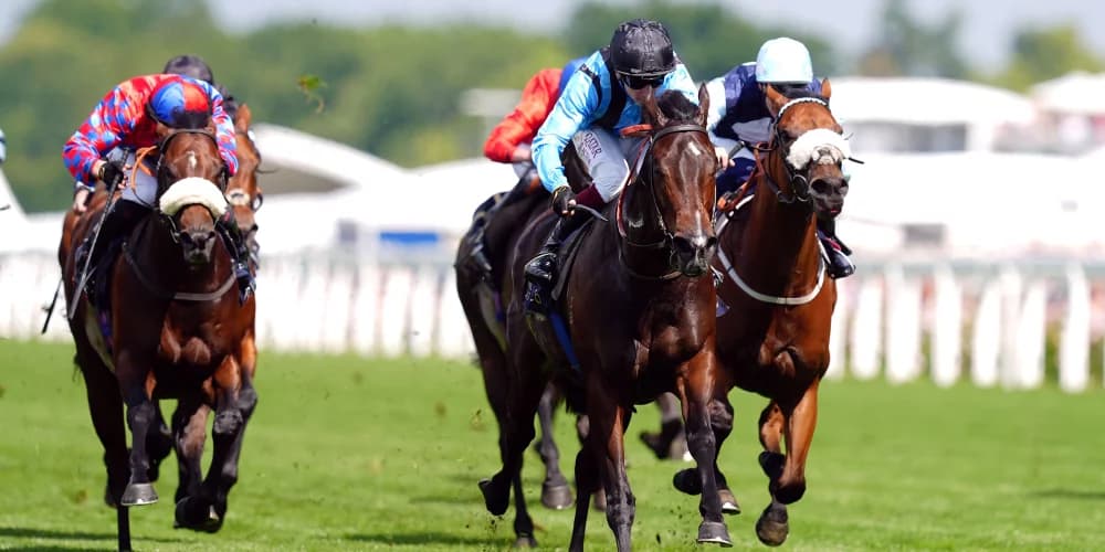 Asfoora Primed for York's Nunthorpe Stakes After Near-Miss