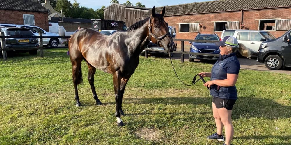 Asfoora’s faithful groom dreaming of more UK glory