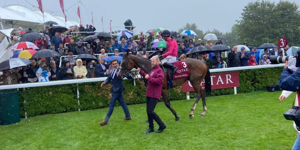 Goodwood return on the cards for Facteur Cheval