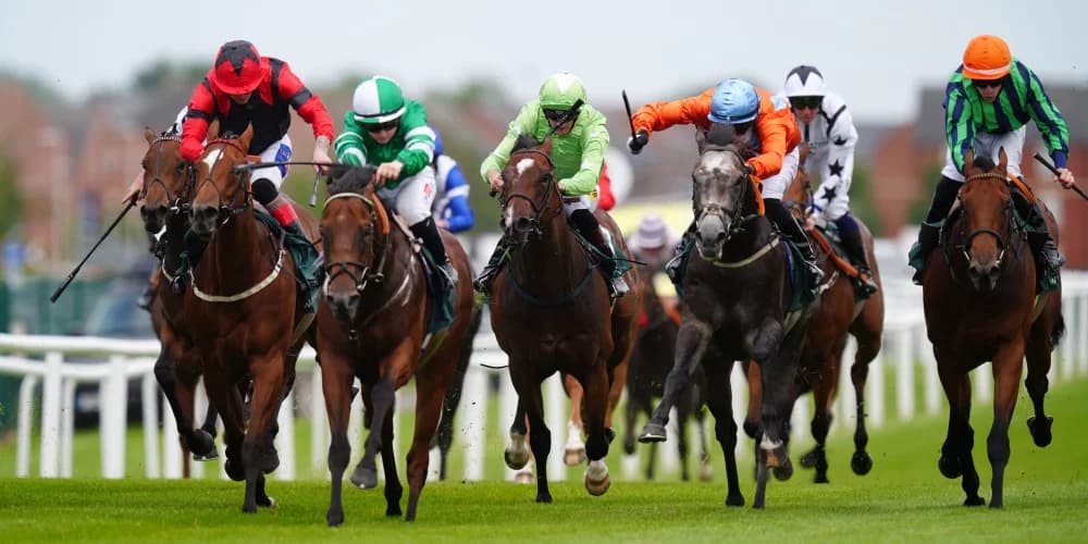 Eustace predicting bright future for Time For Sandals