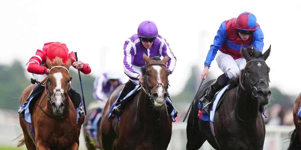 O’Brien keeping options open over Los Angeles programme