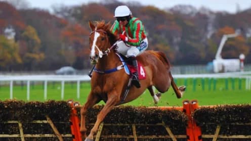 Tony Martin's Emotional Comeback: Hamsiyann Triumphs at Cheltenham