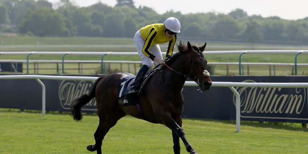 Ambiente Friendly in good shape following York disappointment