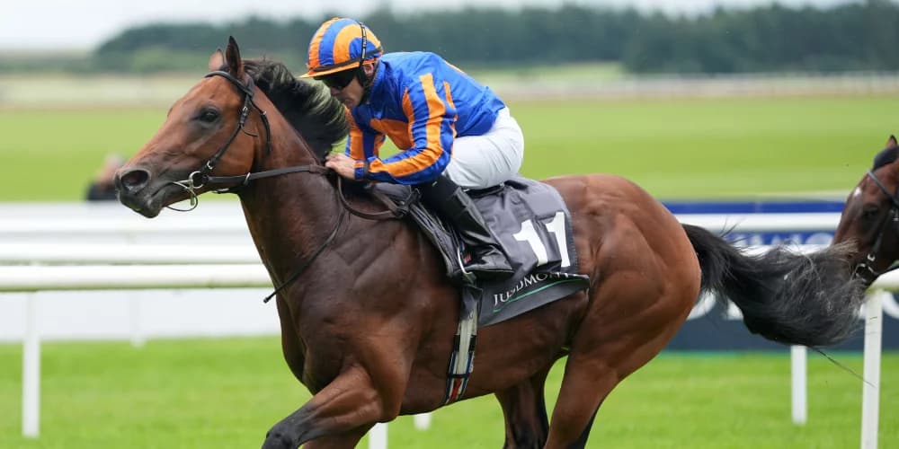 Ruling Court and The Lion In Winter in line to clash at York