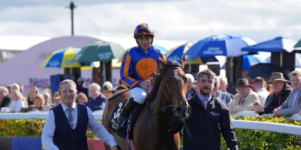 Lake Victoria swoops for Moyglare Stud success