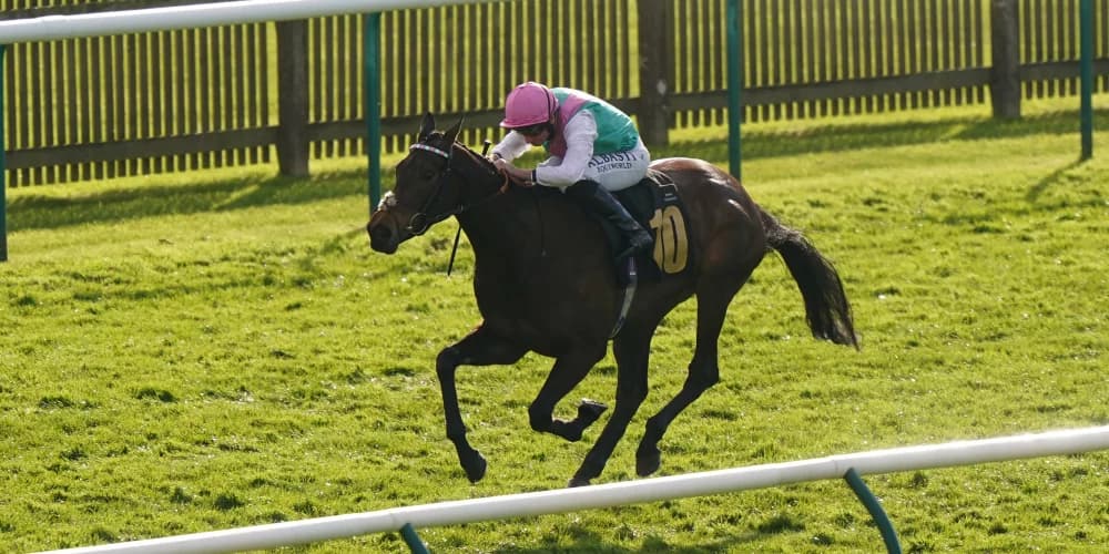 Kalpana Tests British Champions Day Hopes in September Stakes