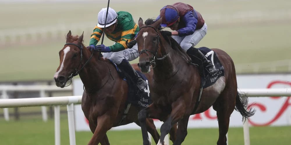 Jan Brueghel boosts Leger prospects with International win