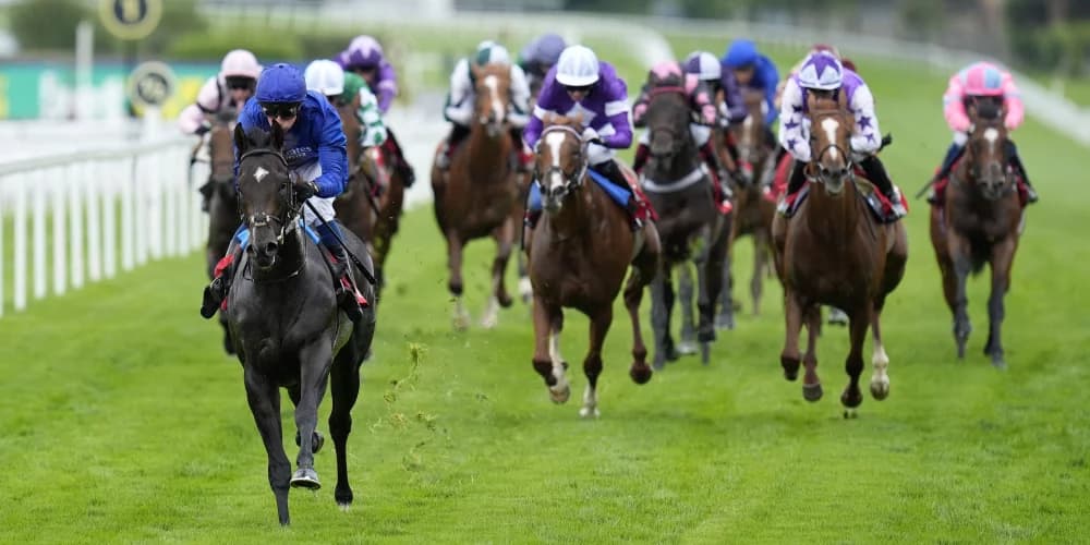 Ruling Court aiming to state Classic case at York