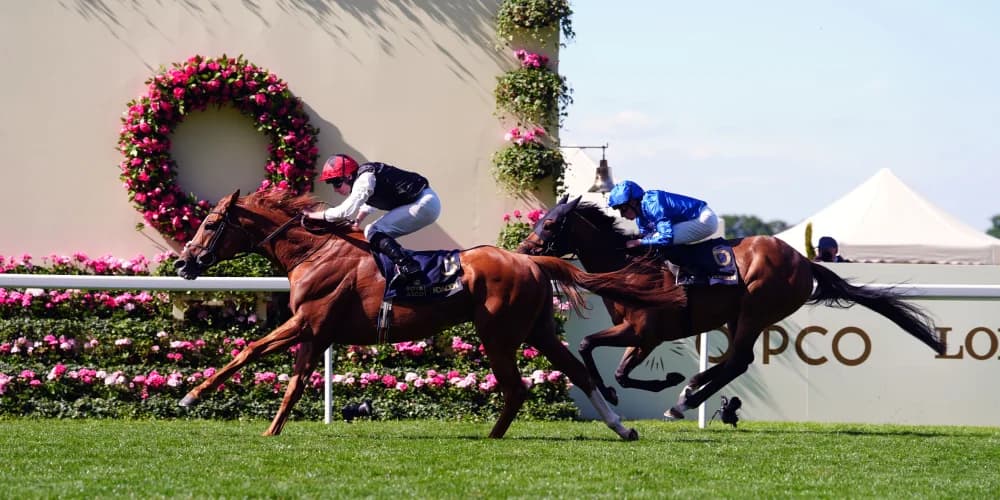 Courageous Kyprios completes ‘million to one’ comeback