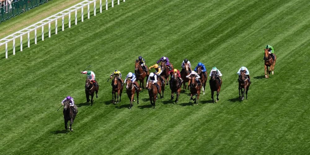 Sylvester Kirk happy to leave future plans open for Brian