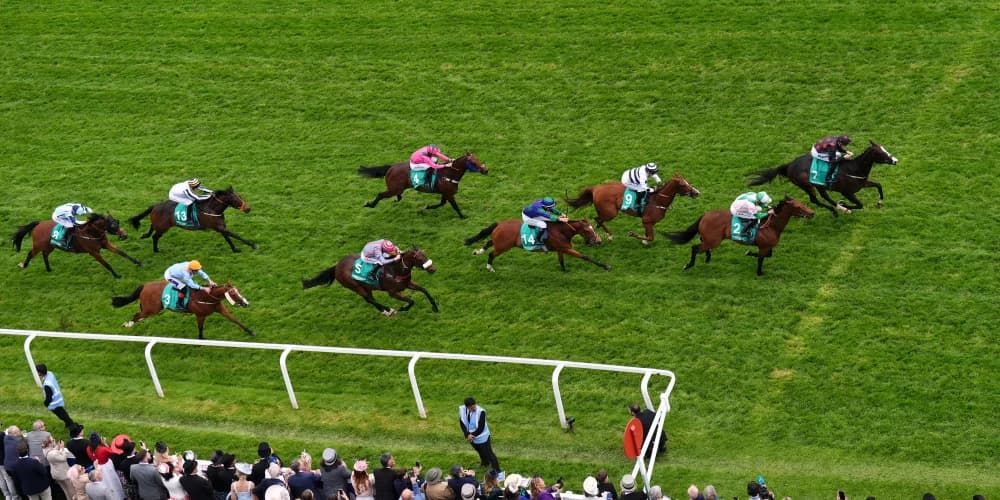 Dream Composer hits the right notes in Epsom Dash