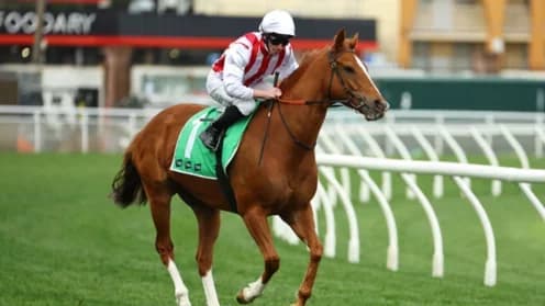 Moby Dick Aims for Glory at Inaugural Meteorite Race