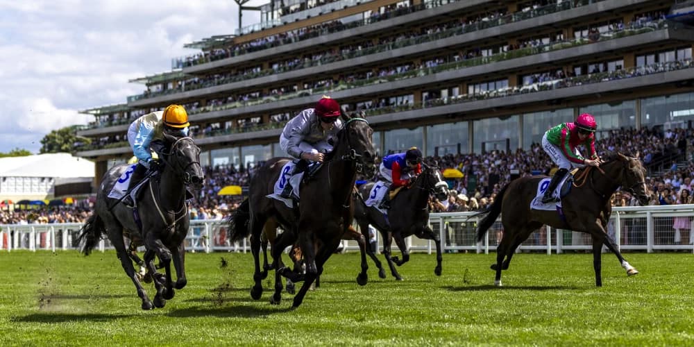 Simmering all set to move up in trip at Deauville